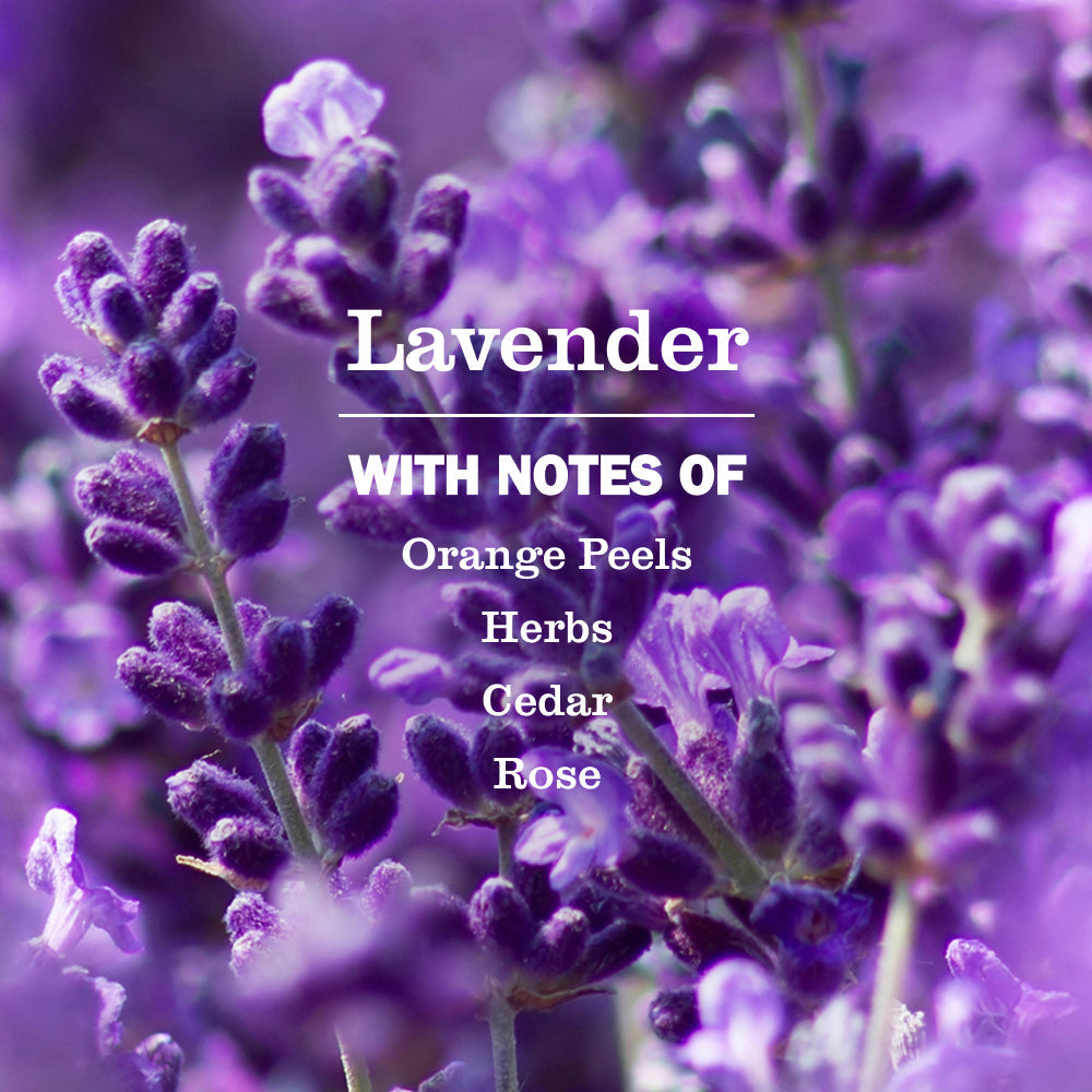 Mrs. Meyer's Lavender Multi-Surface Concentrate